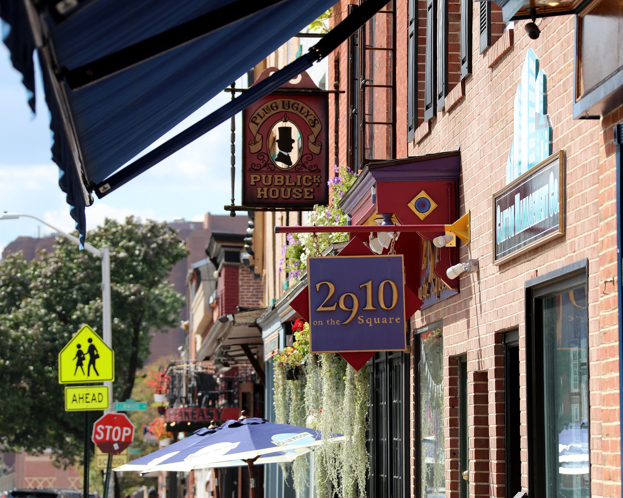 Exploring Baltimore's Canton Neighborhood